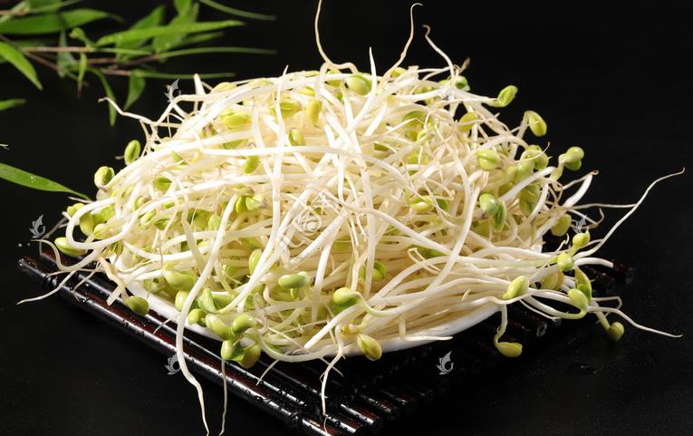無公害綠色豆芽，怎么生產出來的？全套生產過程如此方便智能